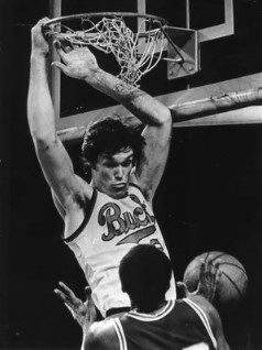 HoopsHype80大国际球员:奥拉朱旺居首 姚明第18 文班第50 HoopsHype80大国际球员:奥拉朱旺居首 姚明第18 文班第50