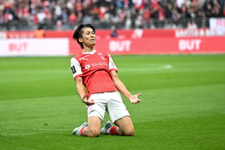 多伦多FCVS夏洛特无插件