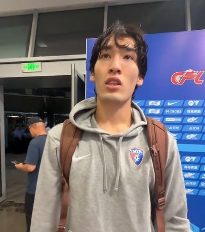 阿维斯VS费伦斯无插件