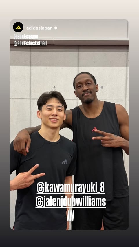 里斯特拉竞技VS萨斯菲尔德无插件
